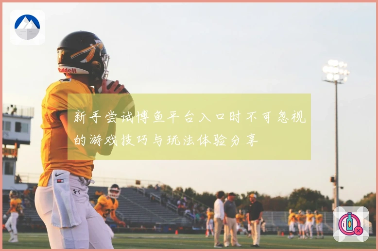新手尝试博鱼平台入口时不可忽视的游戏技巧与玩法体验分享
