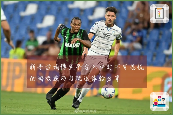 新手尝试博鱼平台入口时不可忽视的游戏技巧与玩法体验分享