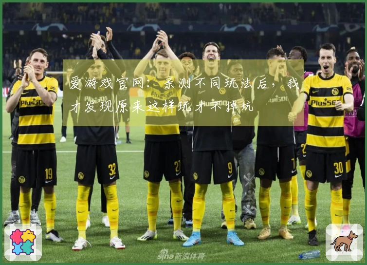 爱游戏官网：亲测不同玩法后，我才发现原来这样玩才不掉坑