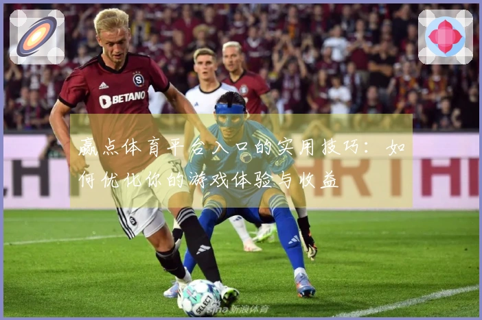 赢点体育平台入口的实用技巧:如何优化你的游戏体验与收益